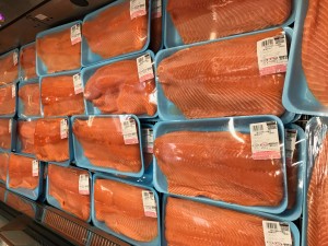 salmon 1