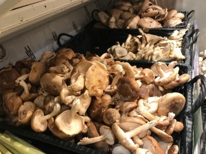 the mushrooms s s